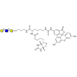 Core type 2 triose linked to biotin and fluorescein (Linker-BT-FLUO A)