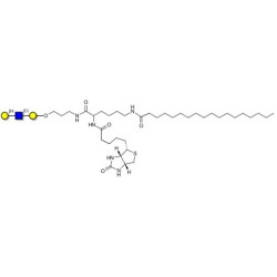 Core type 2 triose linked to biotin and stearic chain (Linker-BT-STEA A)