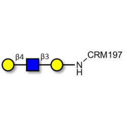Core type 2 triose grafted on CRM197