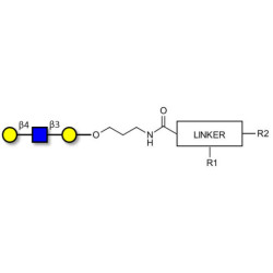 Core type 2 triose with customizable dual functionalization 