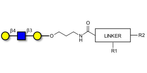 Core type 2 triose with customizable dual functionalization 