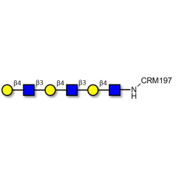 Tri-N-Acetyl-D-Lactosamine grafted on CRM197