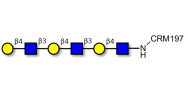 Tri-N-Acetyl-D-Lactosamine...