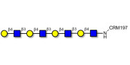 Tetra-N-Acetyl-D-Lactosamin...