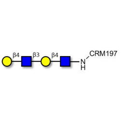 Di-N-Acetyl-D-Lactosamine grafted on CRM197
