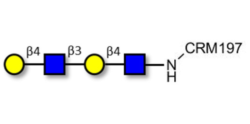 Di-N-Acetyl-D-Lactosamine grafted on CRM197 - DiLacNAc; Di-(2-Acetamido-2-deoxy-4-O-β-D-galactopyranosyl-D-glucopyranose); Di-(N-Acetyl-4-O-(β-D-galactopyranosyl)-D-glucosamine)