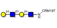 Di-N-Acetyl-D-Lactosamine...