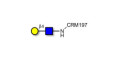N-Acetyl-D-Lactosamine (LacNAc) type II grafted on CRM197 - LacNac; 2-Acetamido-2-deoxy-4-O-β-D-galactopyranosyl-D-glucopyranose; LN, N-Acetyl-4-O-(β-D-galactopyranosyl)-D-glucosamine