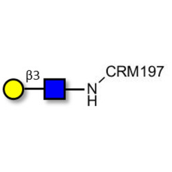 Lacto-N-Biose / N-Acetyl-D-Lactosamine (LacNAc) type I grafted on CRM197