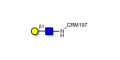 Lacto-N-Biose / N-Acetyl-D-Lactosamine (LacNAc) type I grafted on CRM197 - 2-Acetamido-2-deoxy-3-O-(β-D-galactopyranosyl)-D-glucopyranose