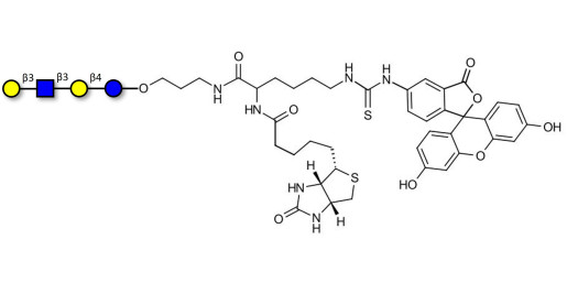 Lacto-N-tetraose (LNT) linked to biotin and fluorescein (Linker-BT-FLUO A) - LNT