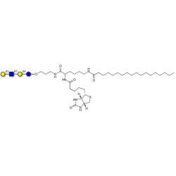 Lacto-N-tetraose (LNT) linked to biotin and stearic chain (Linker-BT-STEA A)