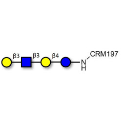 Lacto-N-tetraose (LNT) grafted on CRM197