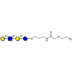 Lacto-N-tetraose (LNT) with terminal azide (Linker-N3 B)