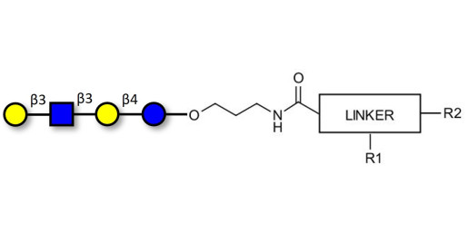 Lacto-N-tetraose (LNT) with customizable dual functionalization  - LNT