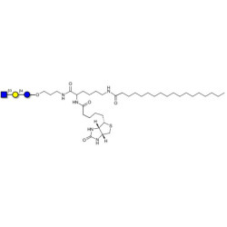 Lacto-N-Triose (LNT2) linked to biotin and stearic chain (Linker-BT-STEA A)
