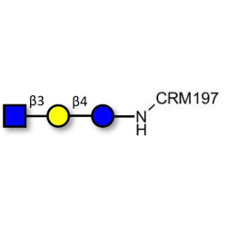 Lacto-N-Triose (LNT2) grafted on CRM197