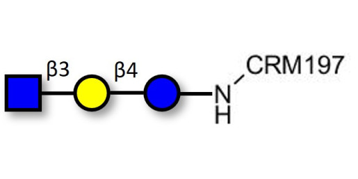 Lacto-N-Triose (LNT2) grafted on CRM197 - LNT2; LNTII