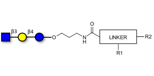 Lacto-N-Triose (LNT2) with customizable dual functionalization  - LNT2; LNTII