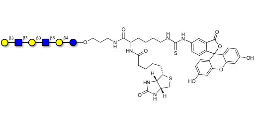 Para-Lacto-N-hexaose 2 (Para-LNH2) linked to biotin and fluorescein (Linker-BT-FLUO A)