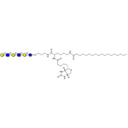 Para-Lacto-N-hexaose 2 (Para-LNH2) linked to biotin and stearic chain (Linker-BT-STEA A)