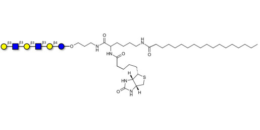Para-Lacto-N-hexaose 2 (Para-LNH2) linked to biotin and stearic chain (Linker-BT-STEA A)