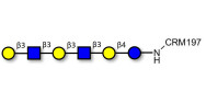 Para-Lacto-N-hexaose 2...