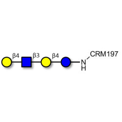 Lacto-N-neotetraose (LNnT / neo-LNT) grafted on CRM197