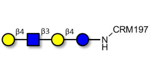 Lacto-N-neotetraose (LNnT / neo-LNT) grafted on CRM197
