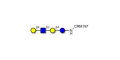 Lacto-N-neotetraose (LNnT / neo-LNT) grafted on CRM197