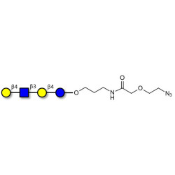 Lacto-N-neotetraose (LNnT / neo-LNT) with terminal azide (Linker-N3 B)