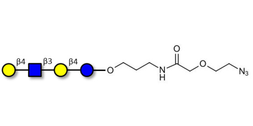 Lacto-N-neotetraose (LNnT / neo-LNT) with terminal azide (Linker-N3 B)