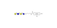 Lacto-N-neotetraose (LNnT /...