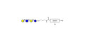 Lacto-N-neotetraose (LNnT / neo-LNT) with customizable dual functionalization 