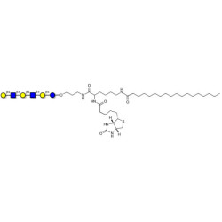 Para-Lacto-N-neohexaose (Para-LNnH) linked to biotin and stearic chain (Linker-BT-STEA A)
