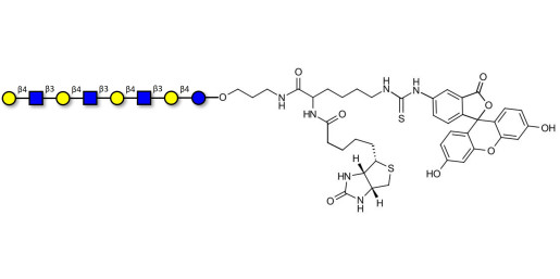 Lacto-N-neooctaose (LNnO) linked to biotin and fluorescein (Linker-BT-FLUO A)