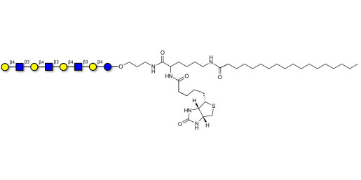 Lacto-N-neooctaose (LNnO) linked to biotin and stearic chain (Linker-BT-STEA A)