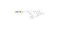 Galacto-N-neopentaose linked to biotin and fluorescein (Linker-BT-FLUO A) - Di LAcNac Gal