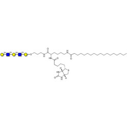 Galacto-N-neopentaose linked to biotin and stearic chain (Linker-BT-STEA A)