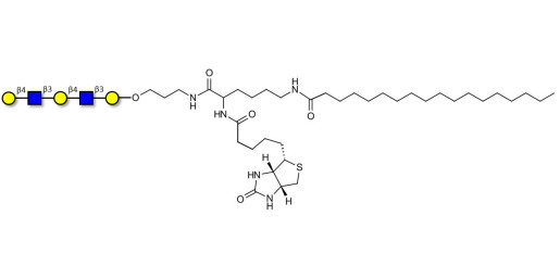 Galacto-N-neopentaose linked to biotin and stearic chain (Linker-BT-STEA A) - Di LAcNac Gal