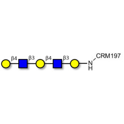 Galacto-N-neopentaose grafted on CRM197