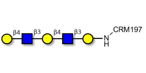 Galacto-N-neopentaose grafted on CRM197 - Di LAcNac Gal