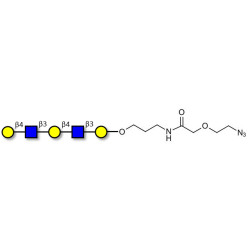 Galacto-N-neopentaose with terminal azide (Linker-N3 B)