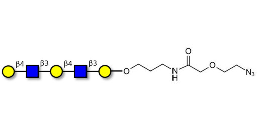 Galacto-N-neopentaose with terminal azide (Linker-N3 B) - Di LAcNac Gal