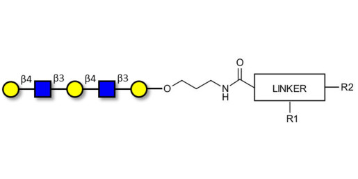 Galacto-N-neopentaose with customizable dual functionalization  - Di LAcNac Gal