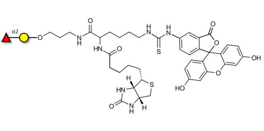 Blood group H antigen disaccharide linked to biotin and fluorescein (Linker-BT-FLUO A)