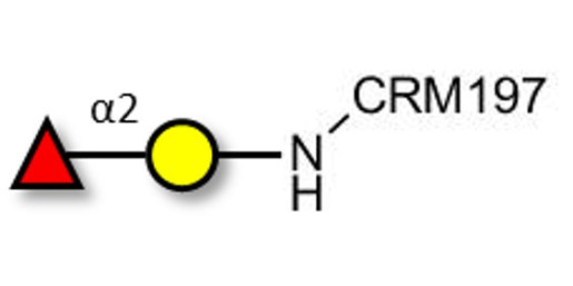 Blood group H antigen disaccharide grafted on CRM197