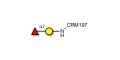 Blood group H antigen disaccharide grafted on CRM197