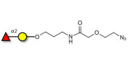 Blood group H antigen...