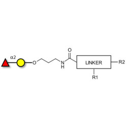 Blood group H antigen disaccharide with customizable dual functionalization 